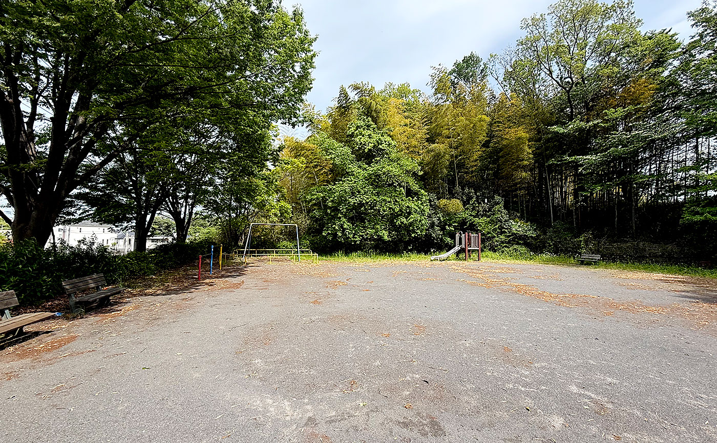細山金井久保中央公園