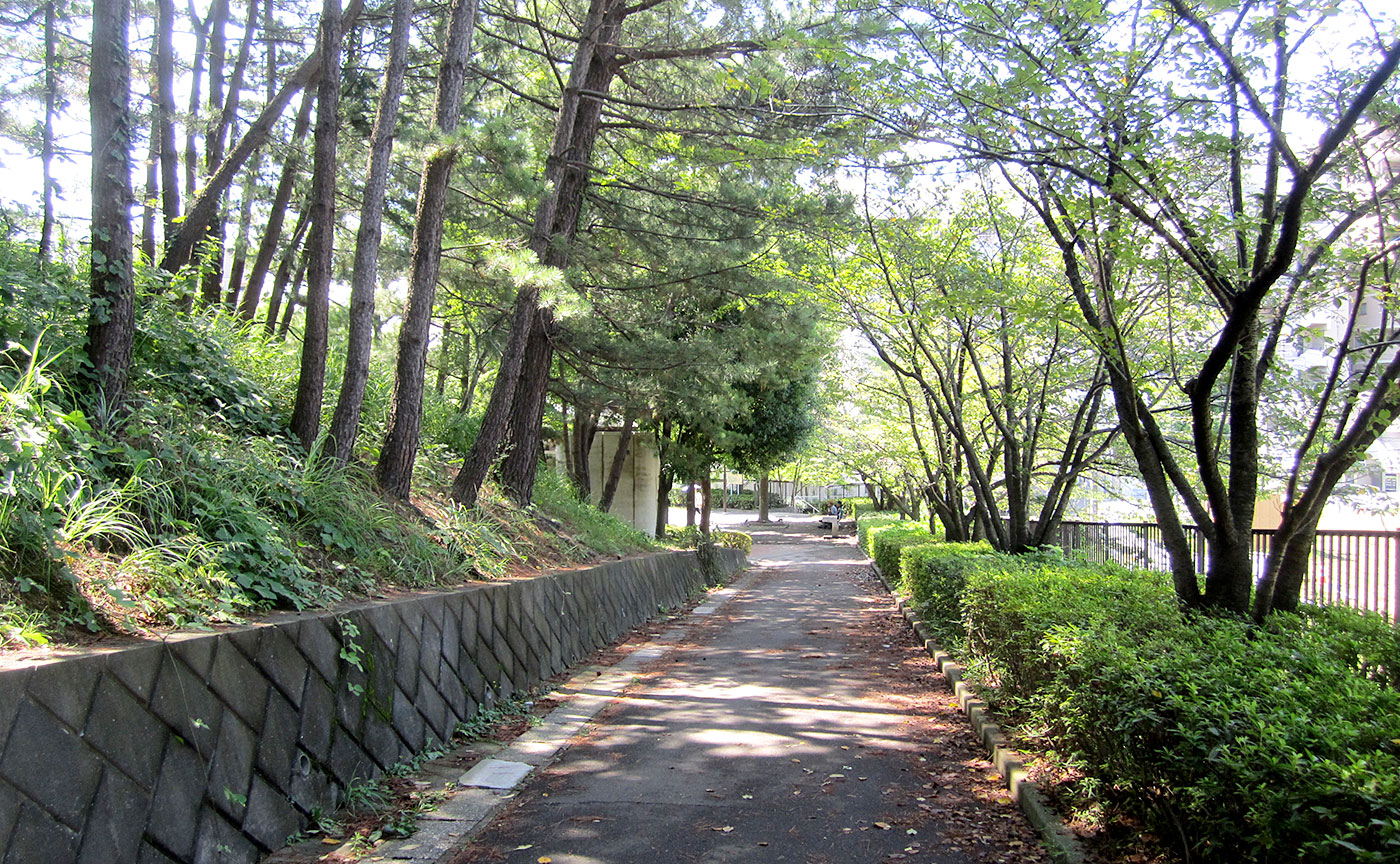万福寺檜山公園