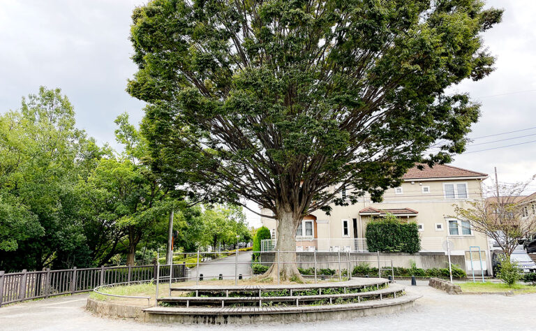 麻生区公園探訪