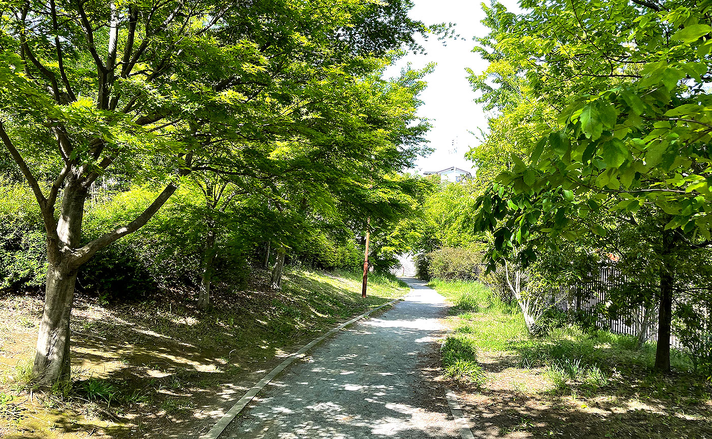 万福寺もりの丘公園