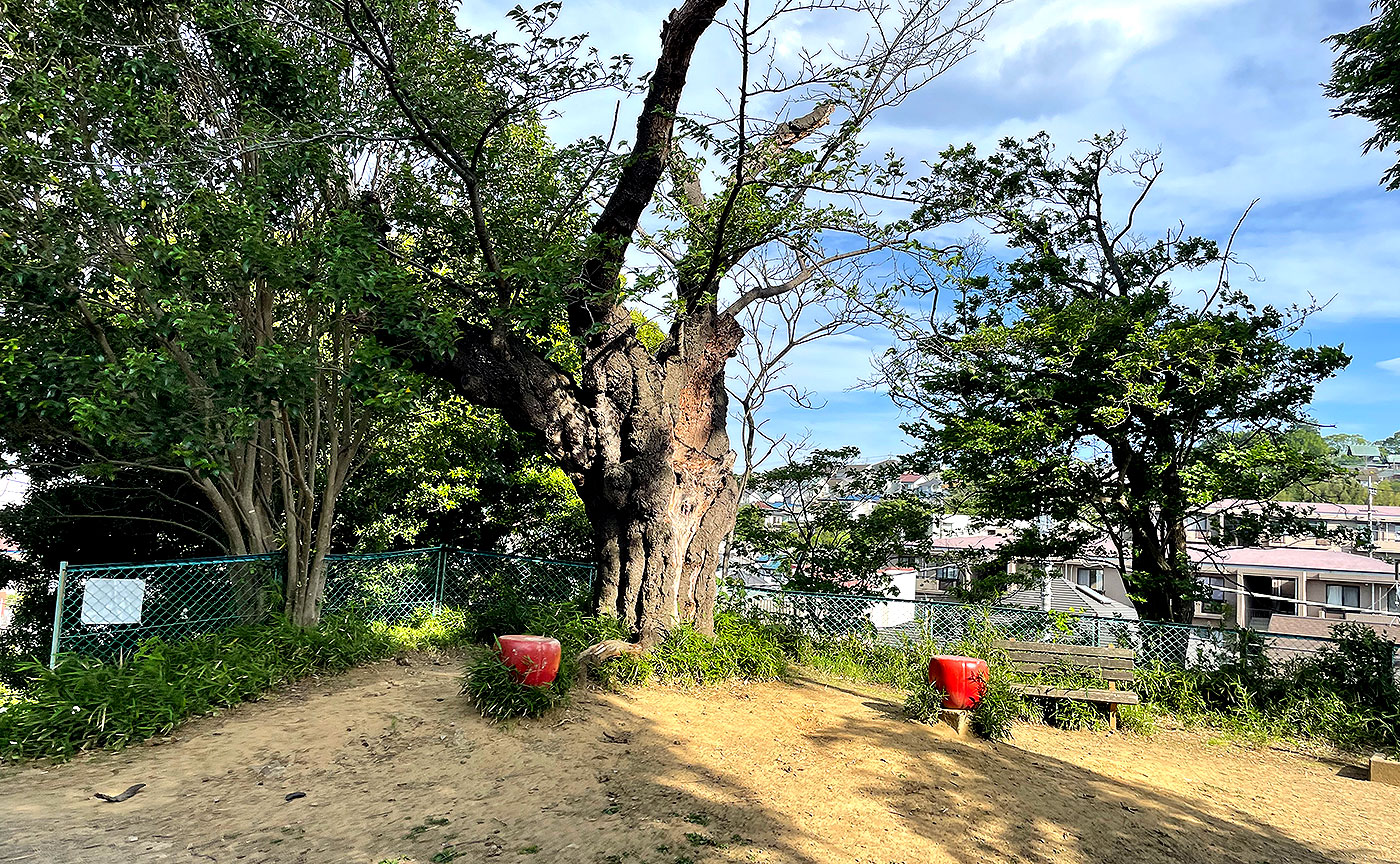 細山中島第2公園