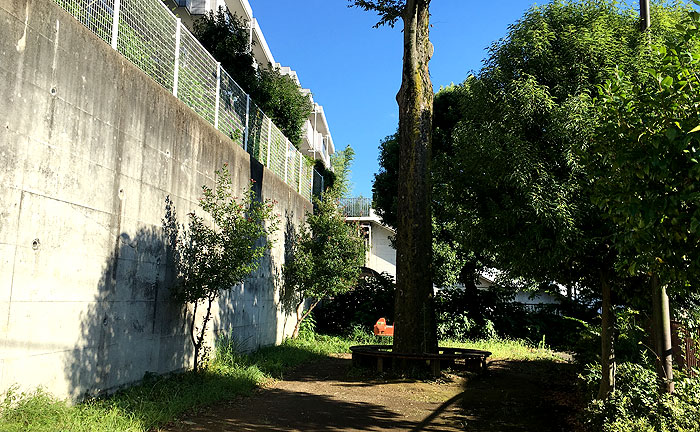 細山6丁目公園