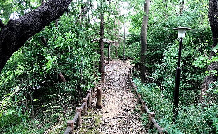 王禅寺源内谷南公園