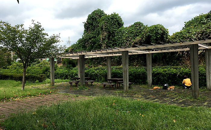 恩廻公園