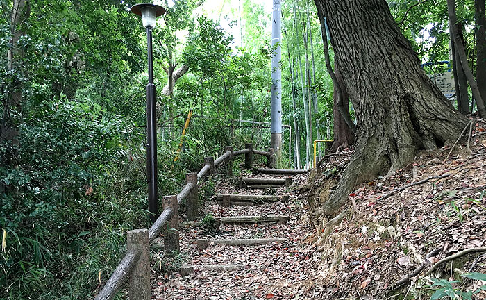 王禅寺源内谷南公園