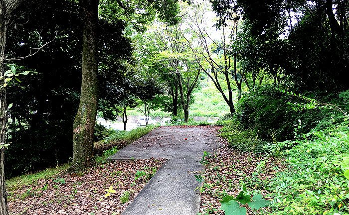 王禅寺源内谷南公園