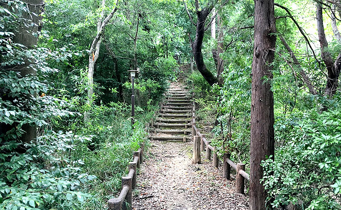 王禅寺源内谷南公園