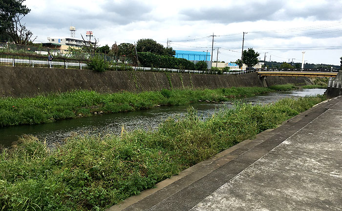 恩廻公園