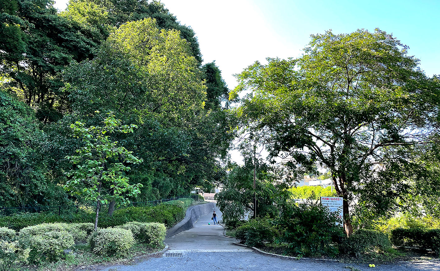 片平金井原公園