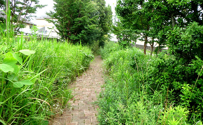 餅井坂公園