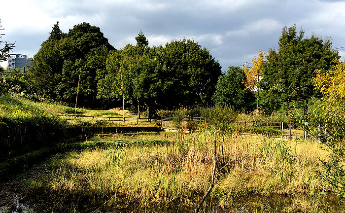 黒川谷ツ公園