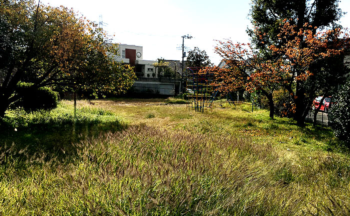 王禅寺北第6公園