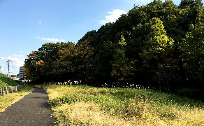 黒川谷ツ公園