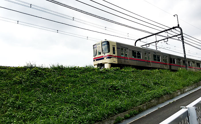 はるひ野ことり公園