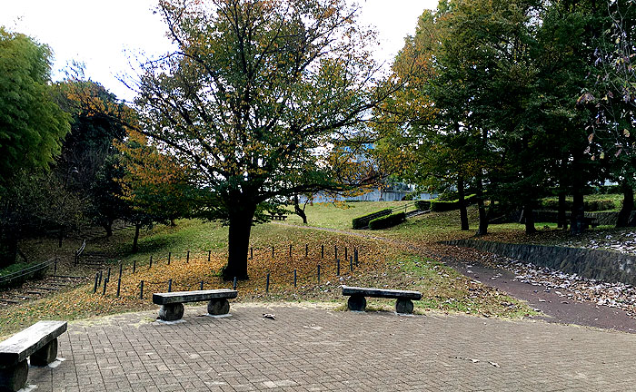 宮添みのり公園