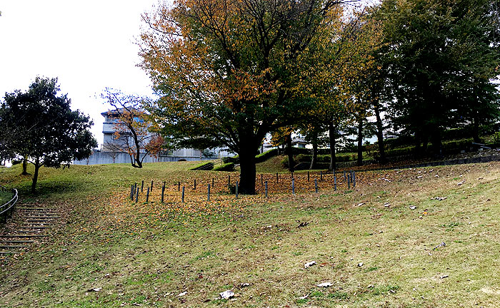 宮添みのり公園