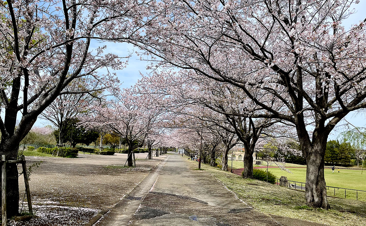 滝野公園