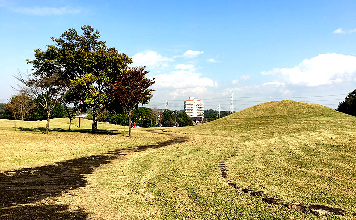 ちはら台公園