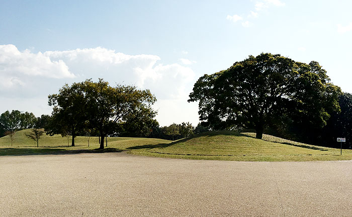 ちはら台公園