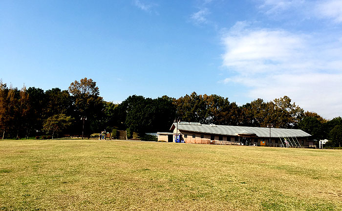 ちはら台公園