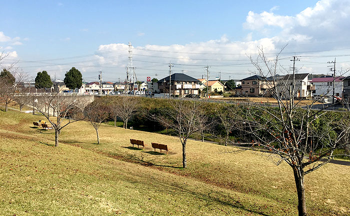 ちはら台公園