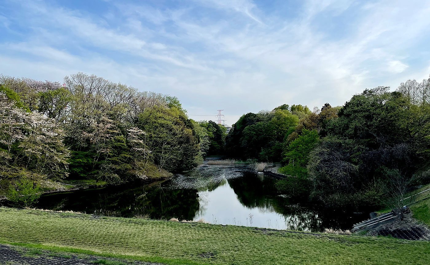 小室公園