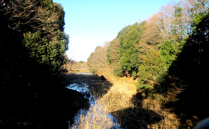 小室公園