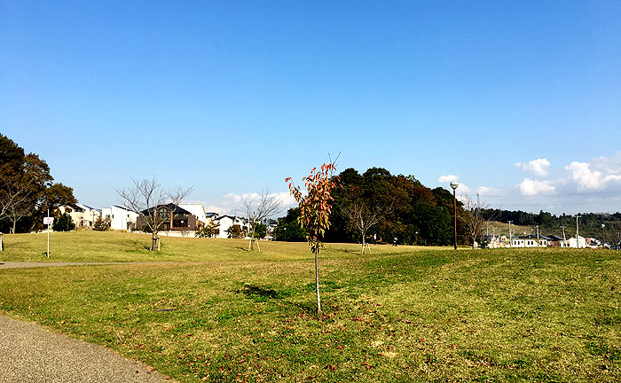 水の江公園