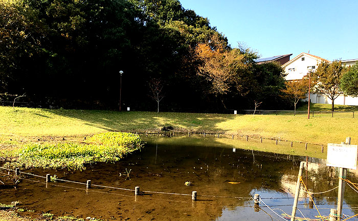 水の江公園