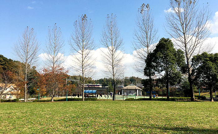 堂坂公園