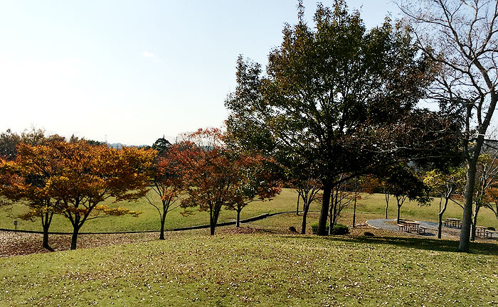 清水谷公園