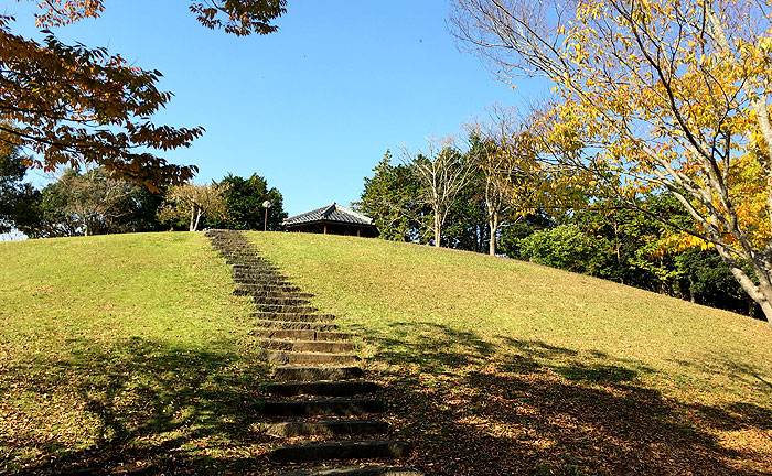 清水谷公園