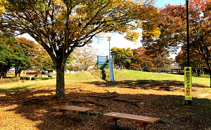 大岬公園 千葉公園探訪