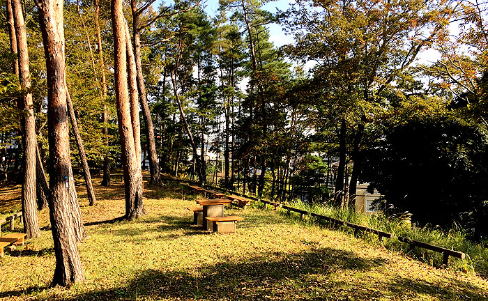 大岬公園 千葉公園探訪