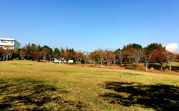 清水谷公園