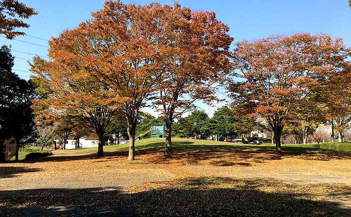 大岬公園