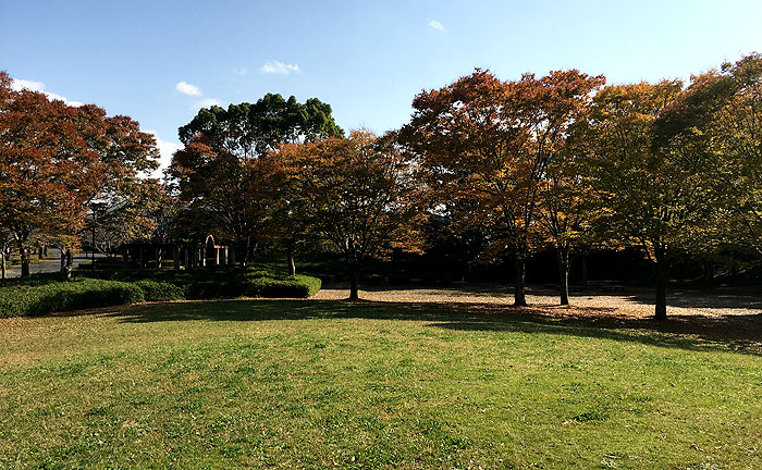 大岬公園