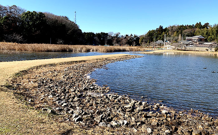 大百池公園