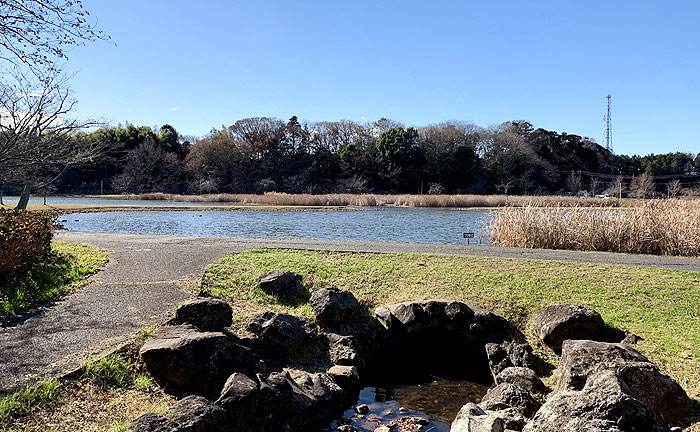 大百池公園