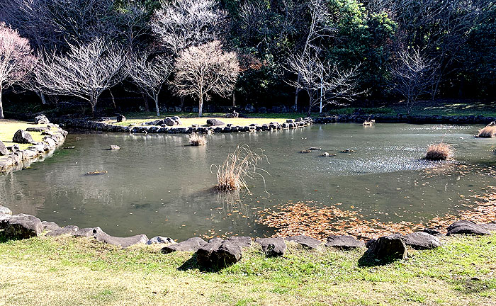 大百池公園