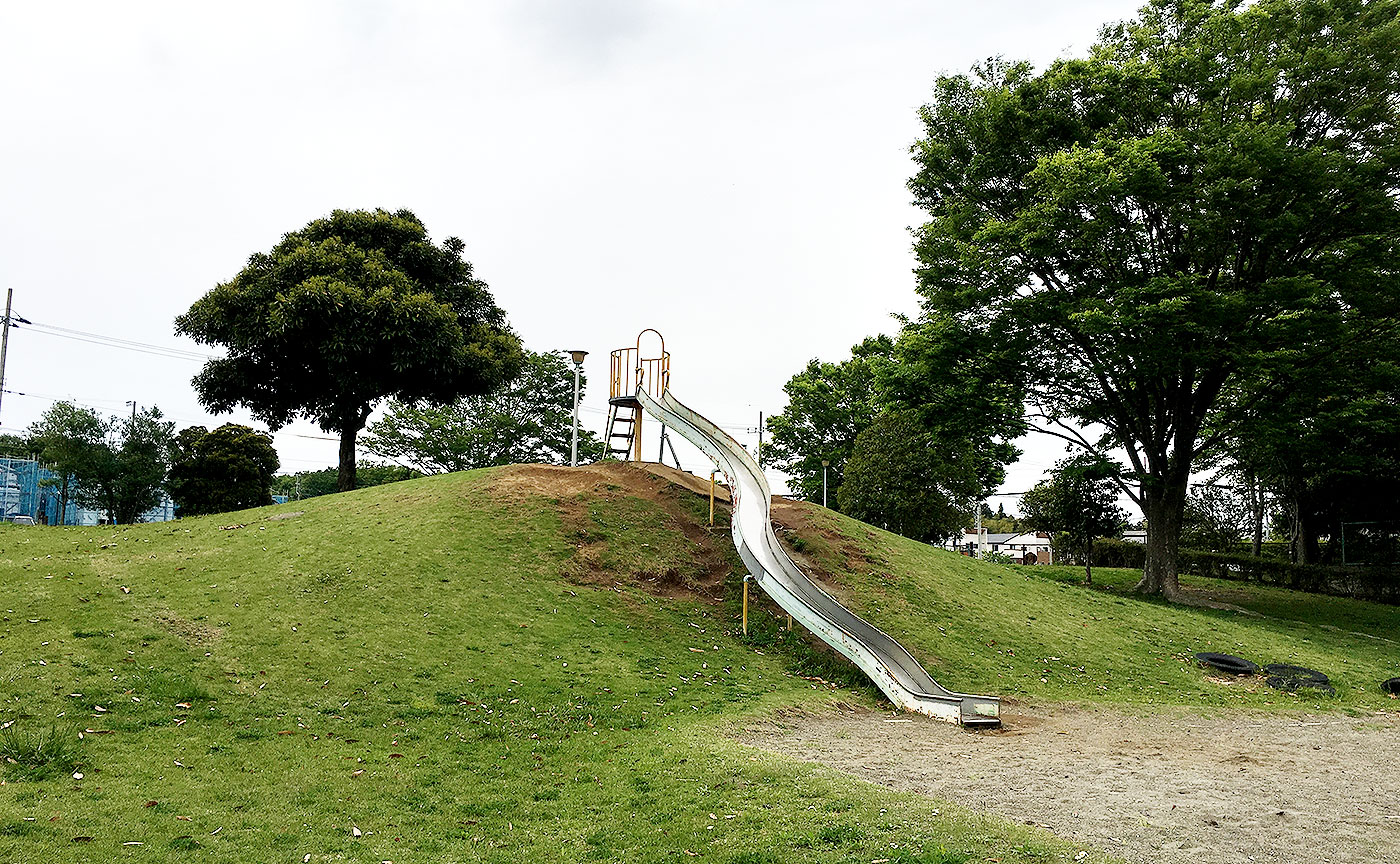 井野西谷津公園