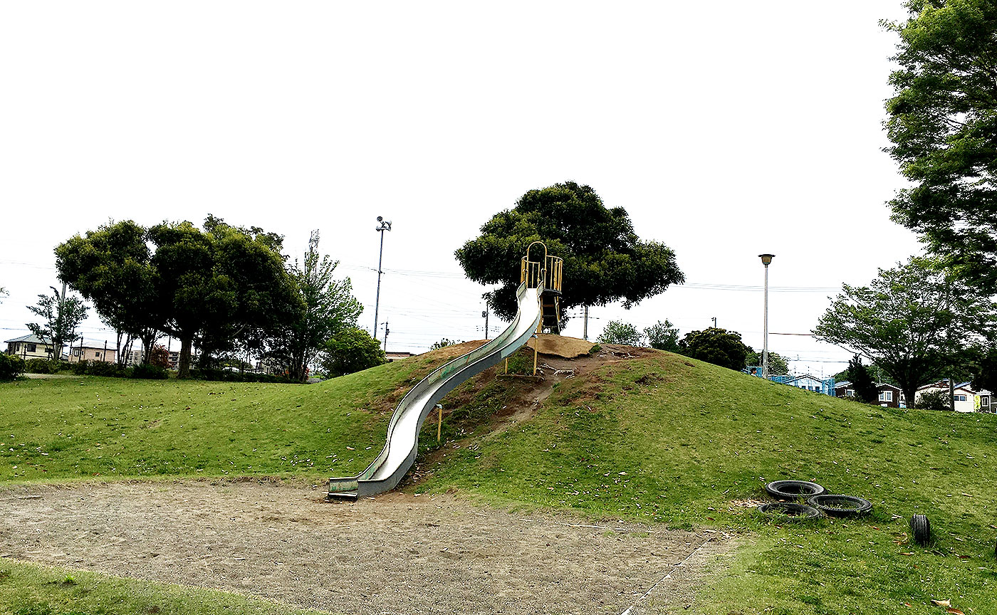 井野西谷津公園