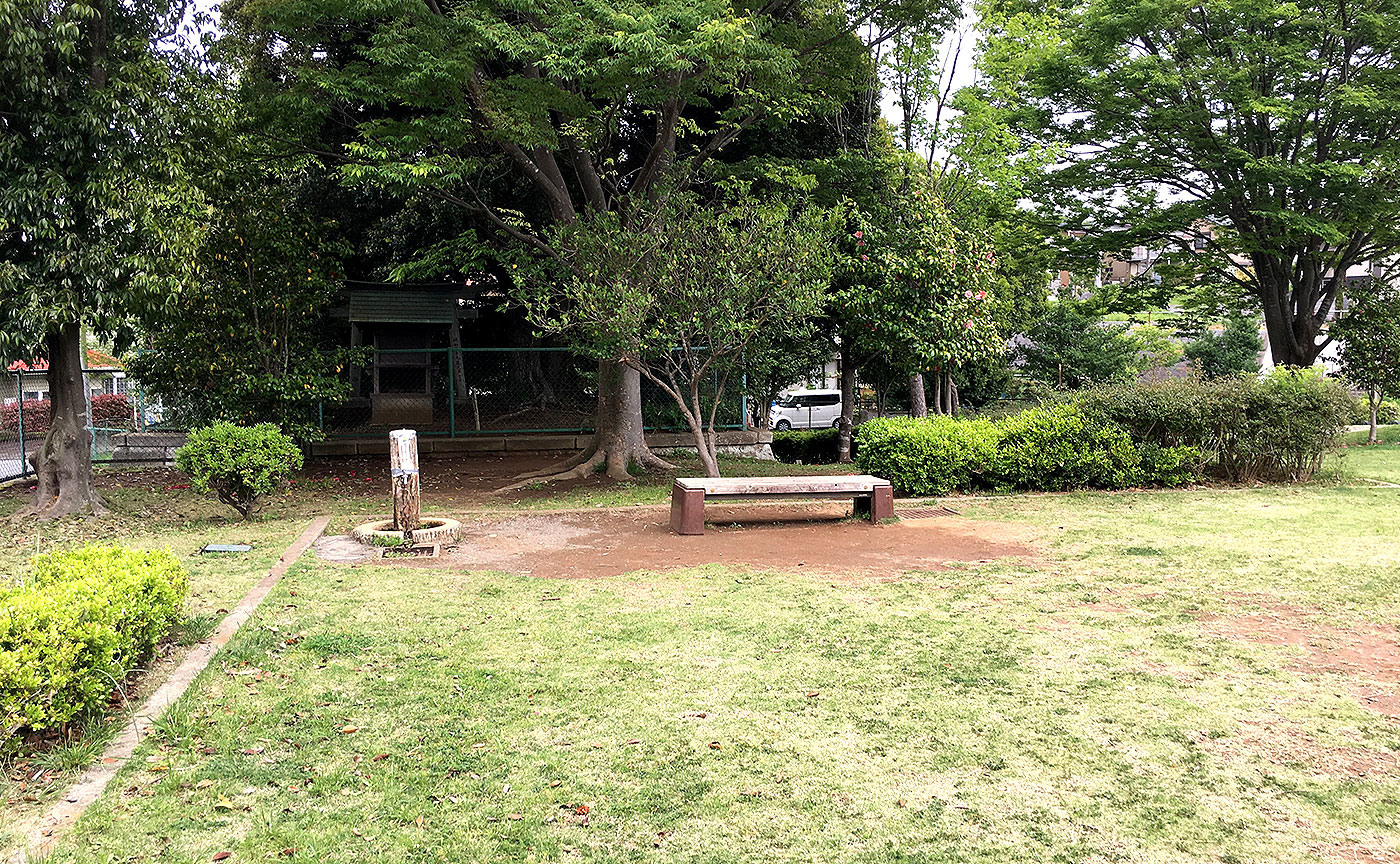 井野西谷津公園