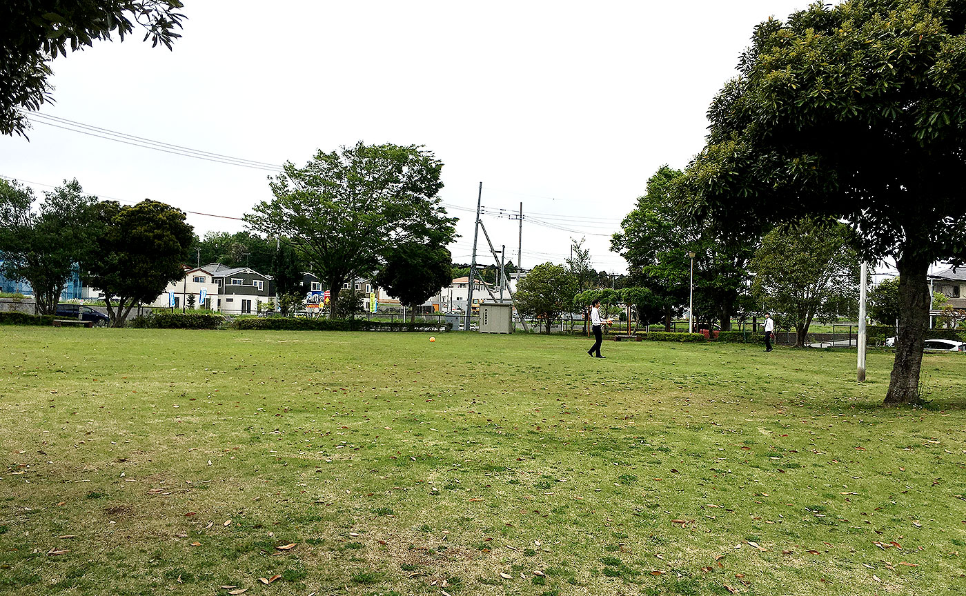 井野西谷津公園