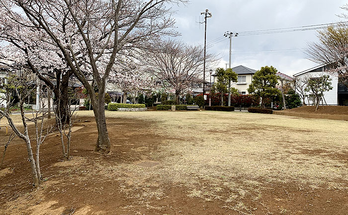 柳堤公園