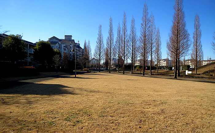 原西街区公園