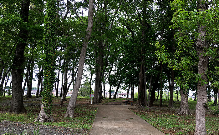 井野っ子山公園