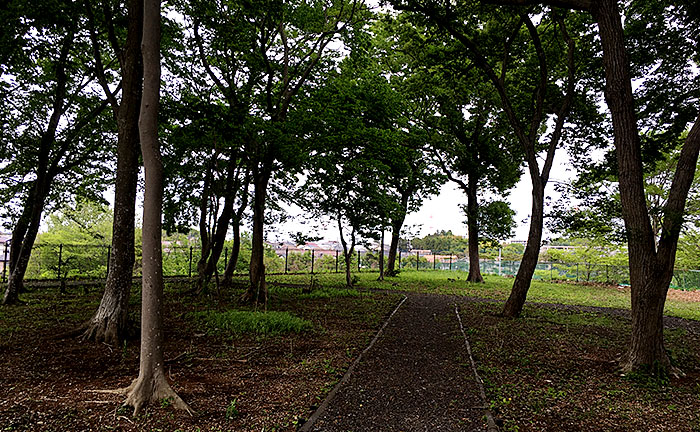 井野っ子山公園