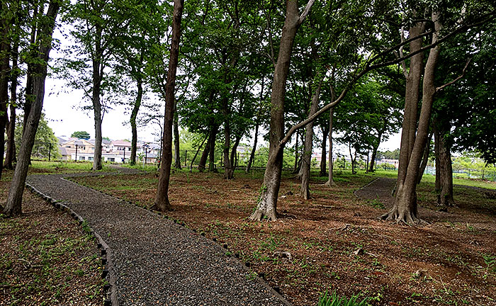 井野っ子山公園