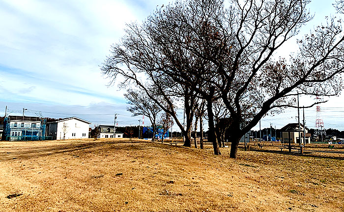 鹿黒南街区公園